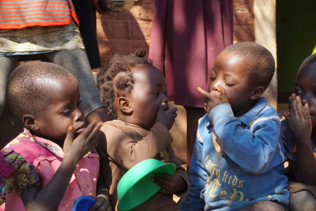 unadjustednonraw thumb 8031